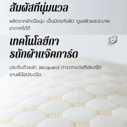 หมอนหนุนเพื่อสุขภาพ ลดกรน แก้ปวดคอ นุ่มแน่น หลับสบายตลอดคืน