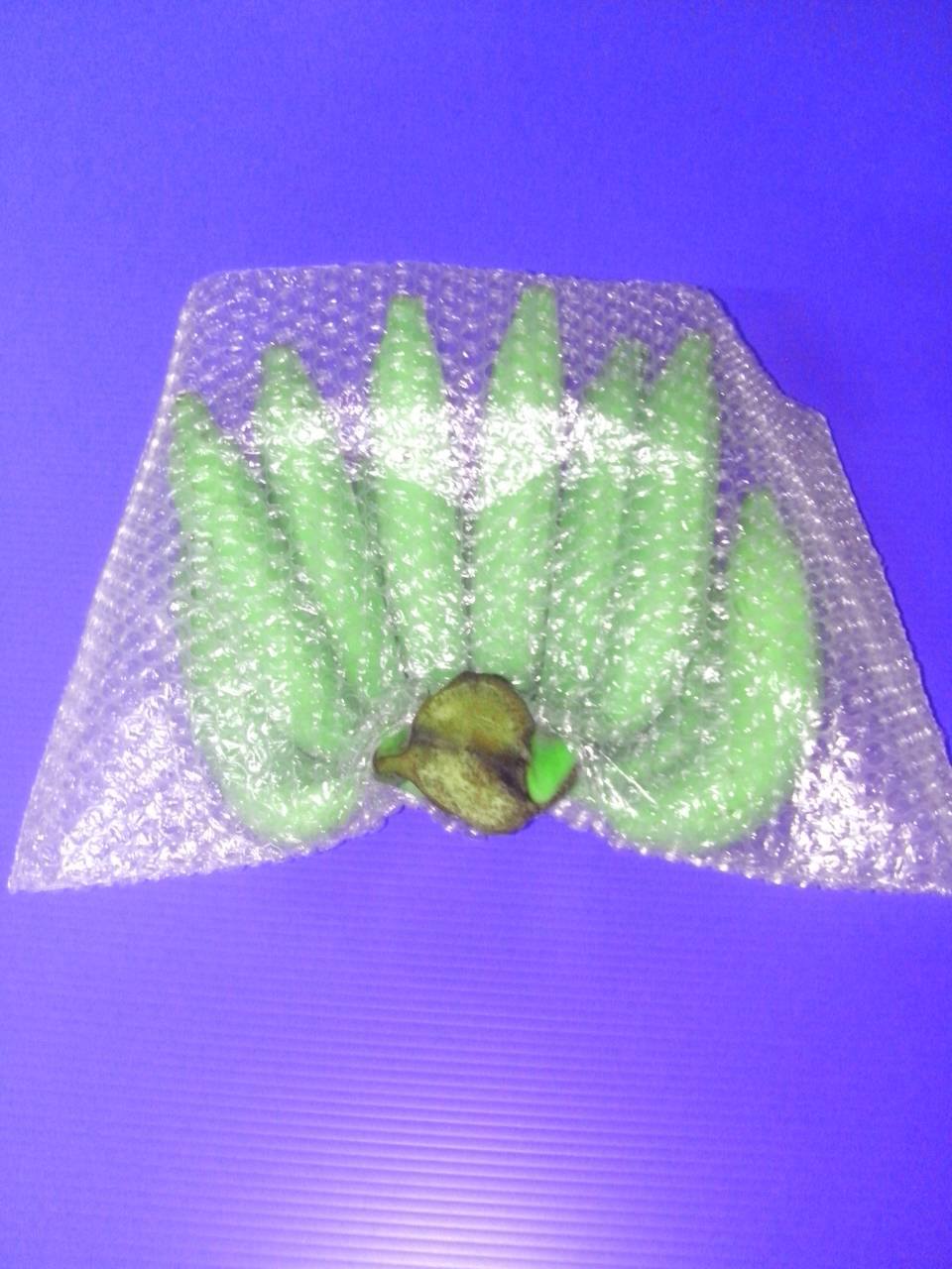 ถุงแอร์บับเบิ้ลสำหรับใส่กล้วยหอมทอง เจาะช่องที่ก้นถุงเพื่อความสะดวกในการจับที่ขั้วของกล้วย