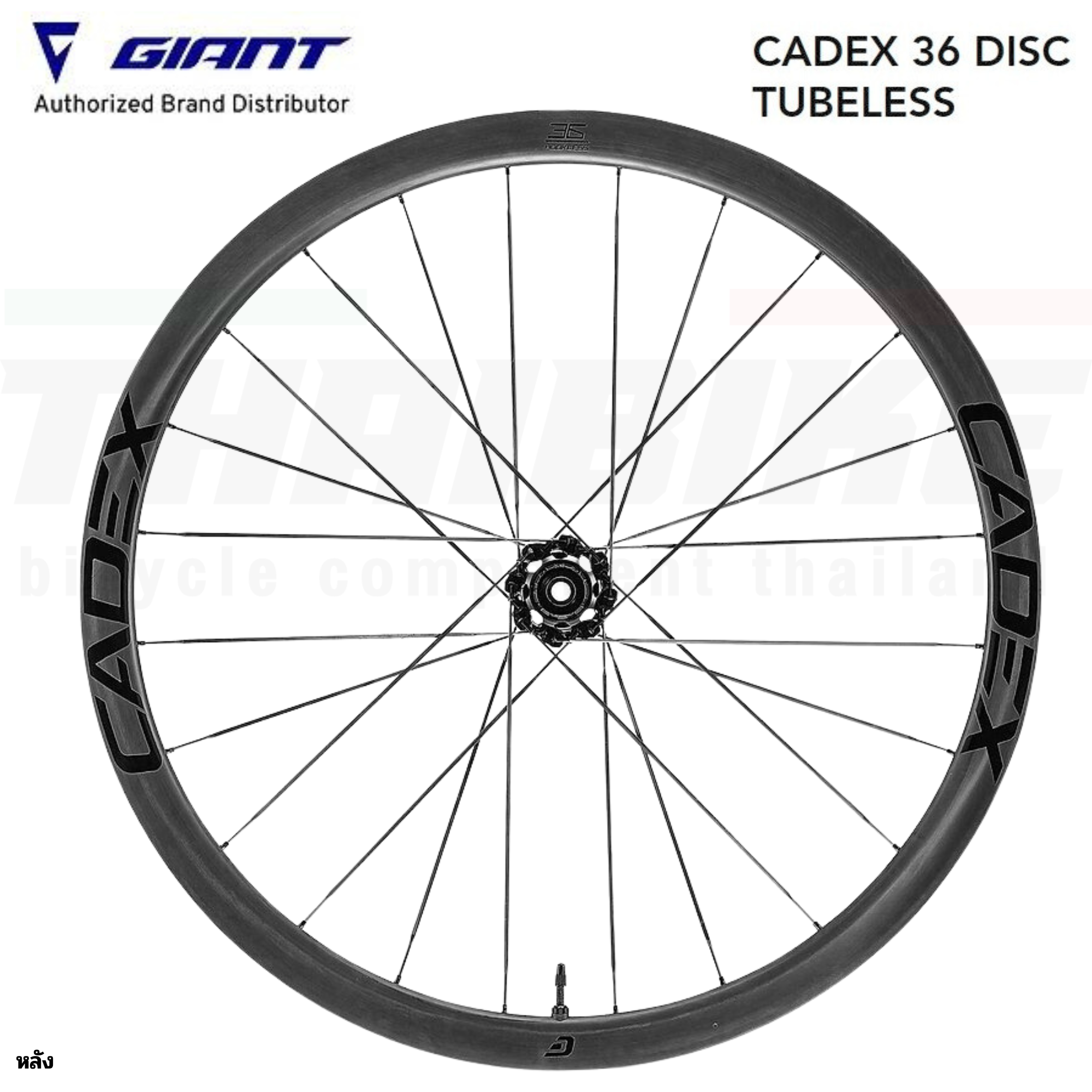 ล้อจักรยานเสือหมอบคาร์บอน GIANT Cadex Disc หน้า+หลัง 36มม.42มม.