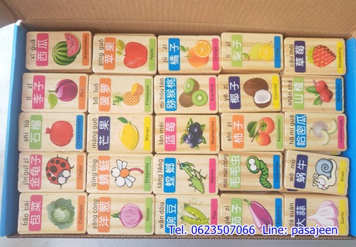 โดมิโนคำศัพท์ (ผลไม้สัตว์) 100ชิ้น สองด้าน