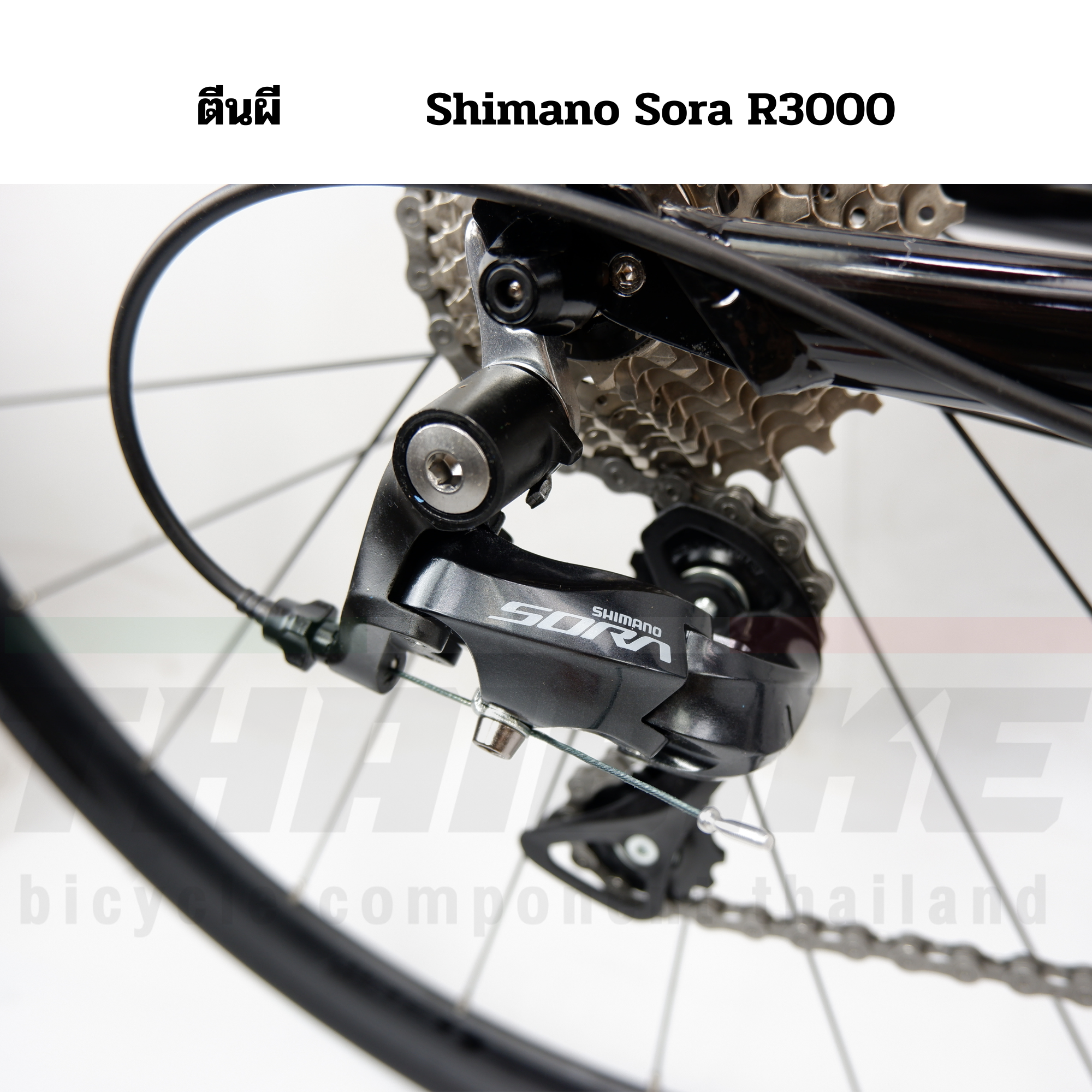 จักรยานเสือหมอบอลูมิเนียม เกียร์ SHIMANO SORA BACKER A2