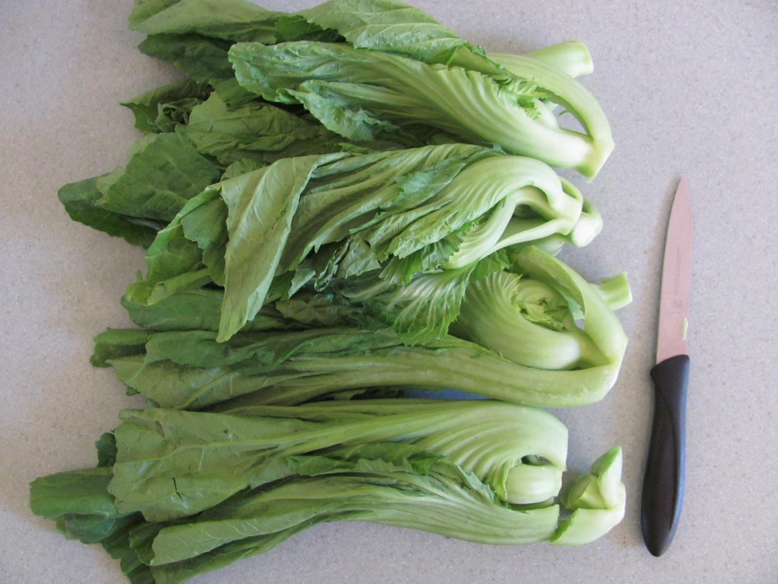 ผักกาดเขียวปลี mustard green