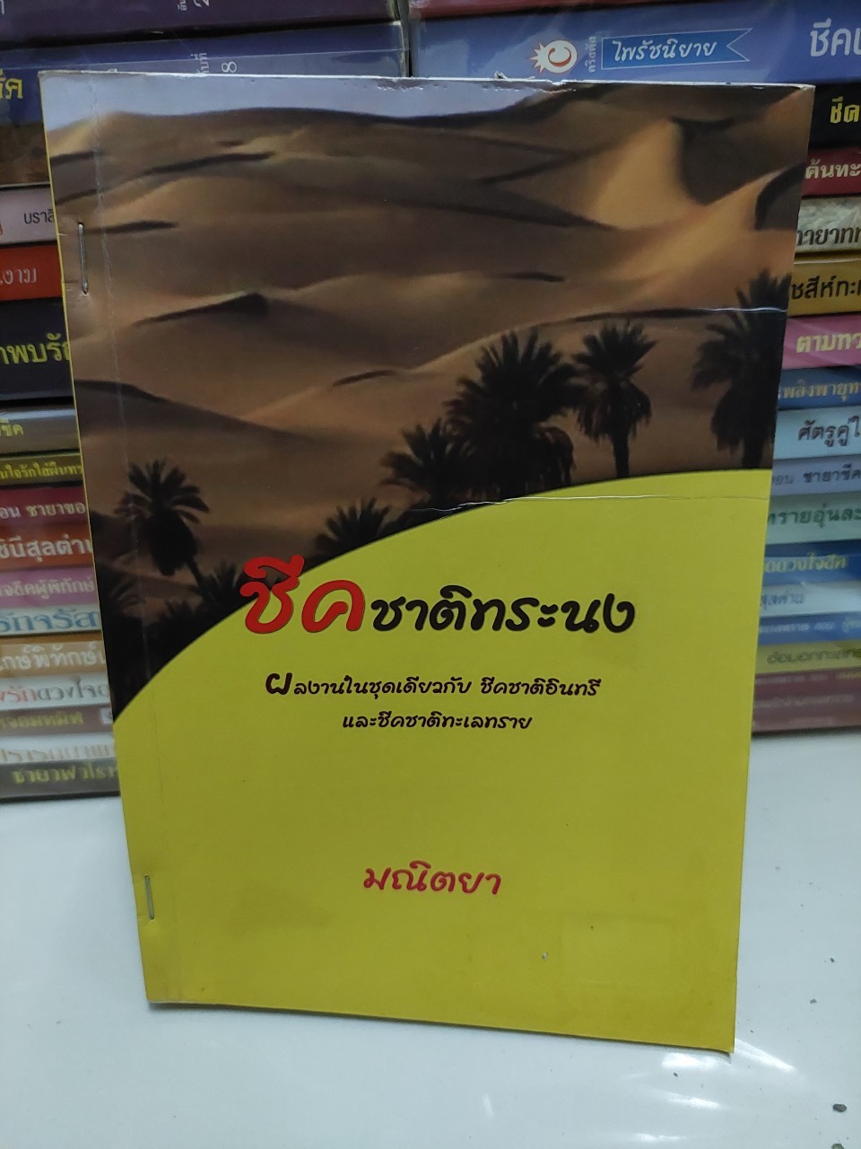 ชีคชาติทระนง /มณิตยา