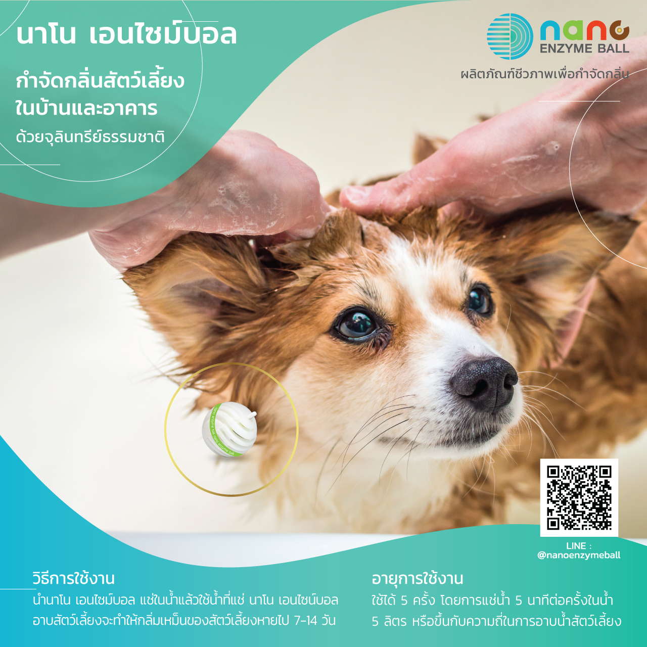 นาโน เอนไซม์บอล ขนาด 2 ลูก จำกัดกลิ่นห้องน้ำ กลิ่นอับ กลิ่นสัตว์เลี้ยง พรมอับ แทนลูกเหม็น (Nano Enzyme Ball 2 balls box Bio-odorless control treatment )