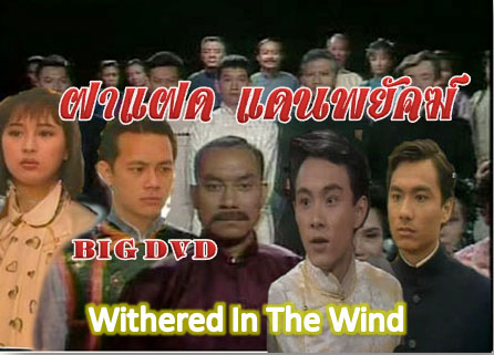 ฝาแฝด แดนพยัคฆ์ withered in the wind นำแสดงโดย จางเหว่ยเจี้ยน,จางเจ้าฮุย,หลินจุ้ยเสียน,หลีเหม่ยเสียน, 6 แผ่น ภาพชัด 99%
