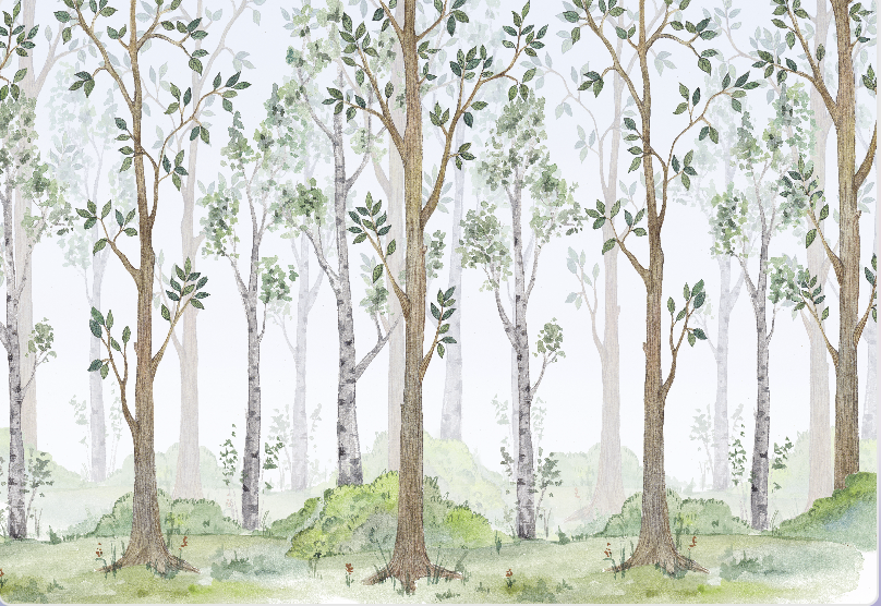 วอลเปเปอร์ห้องเด็ก ลายการ์ตูน (สั่งผลิต)