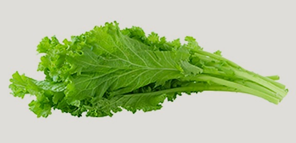 ผักกาดสร้อย mustard green