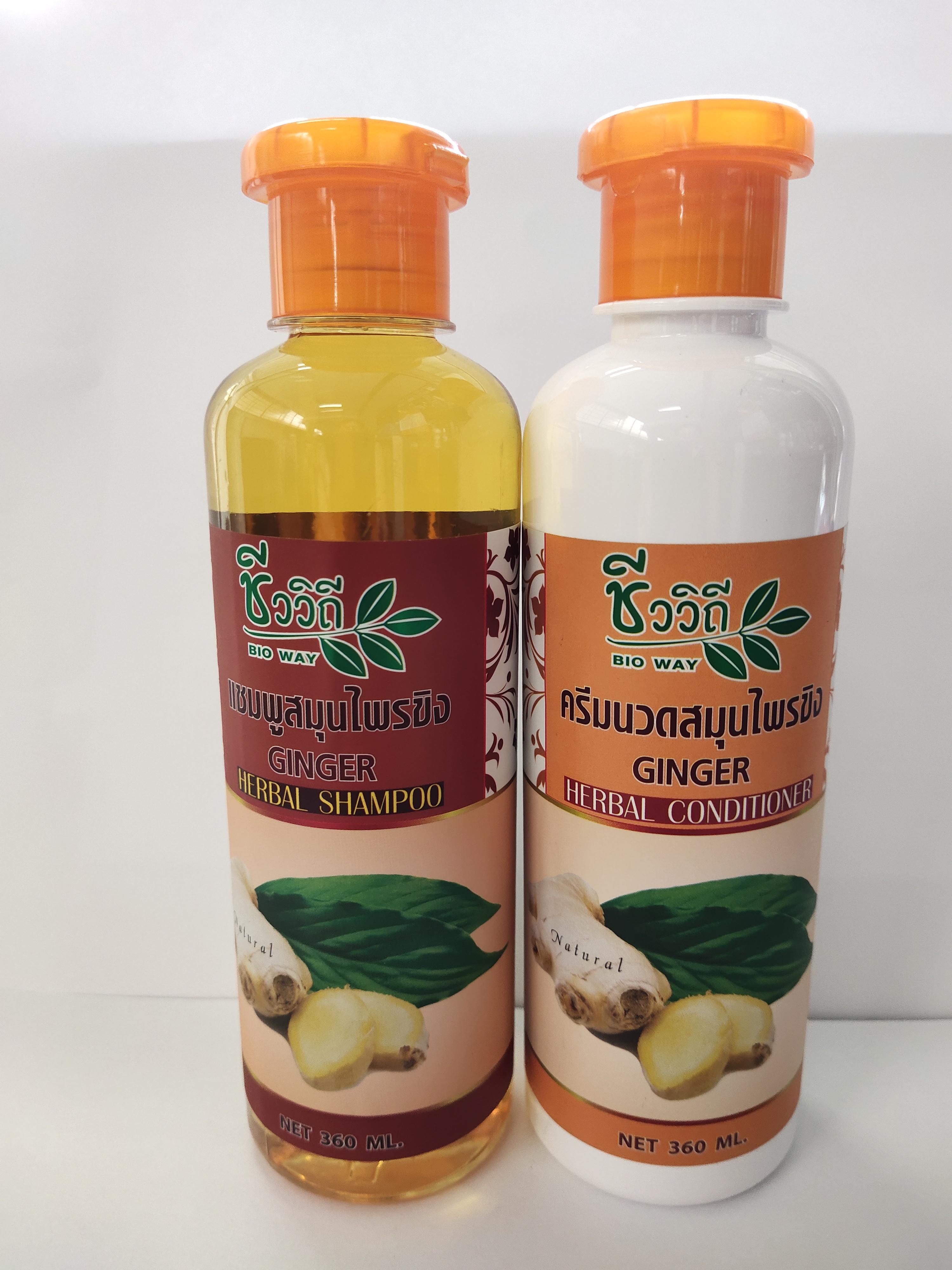แชมพูสมุนไพรขิง+ครีมนวดสมุนไพรขิงชีววิถี BIO WAY