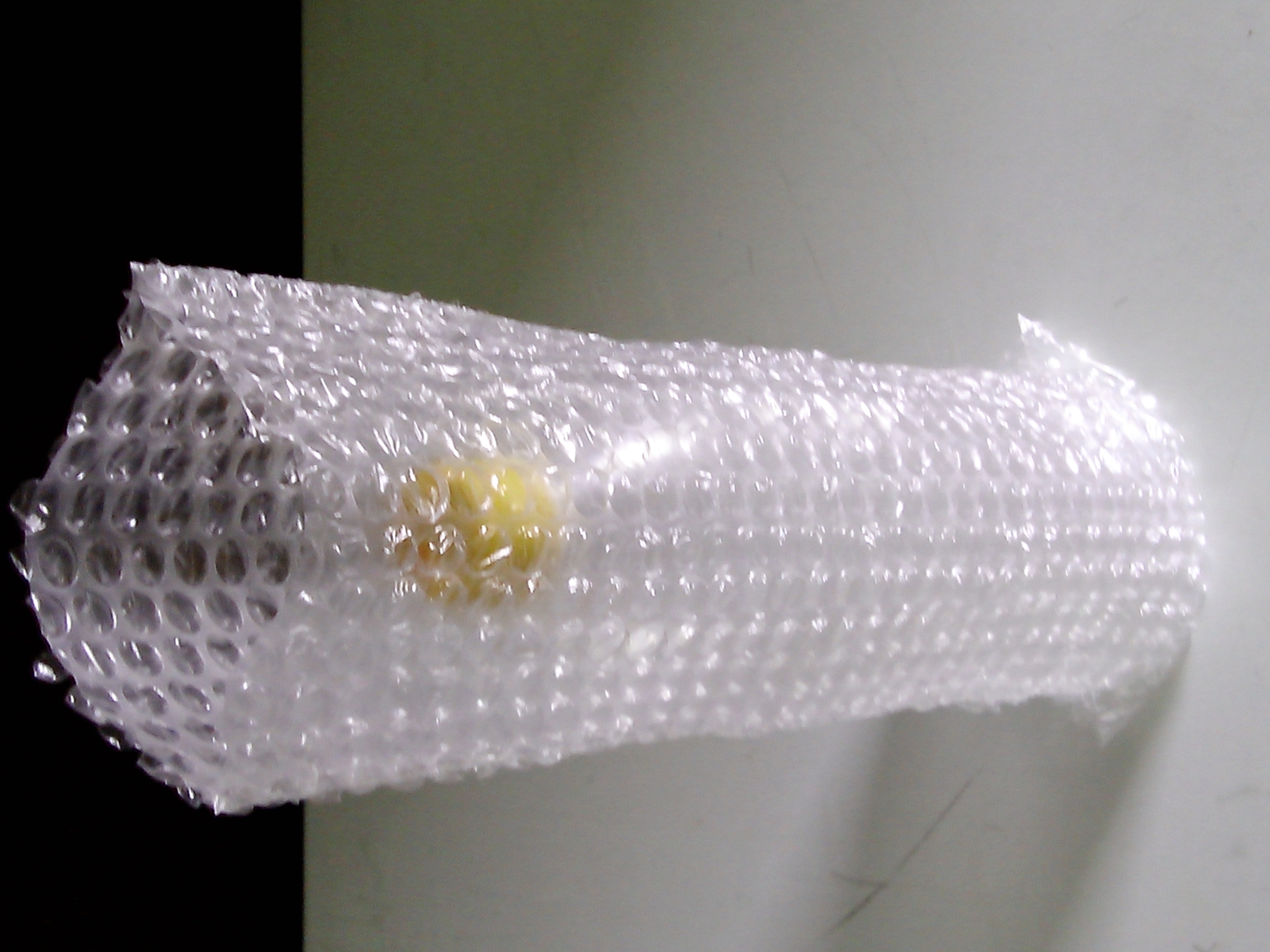 แอร์ บับเบิ้ล แบบธรรมดา