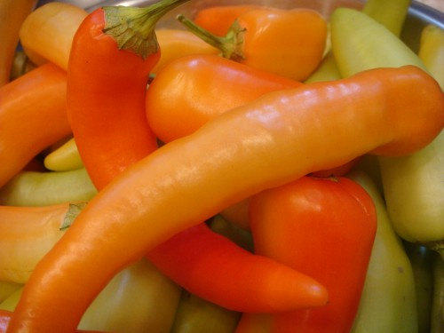 Capsicum Annuum Banana Peppers Yellow Wax Pepper Sweet Chilli
