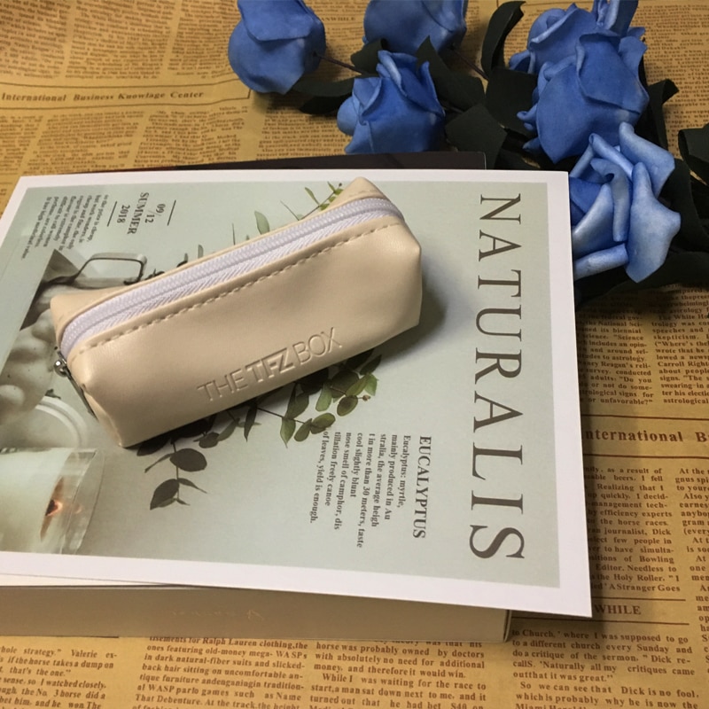 ขาย TFZ BAG กระเป๋าเก็บหูฟัง