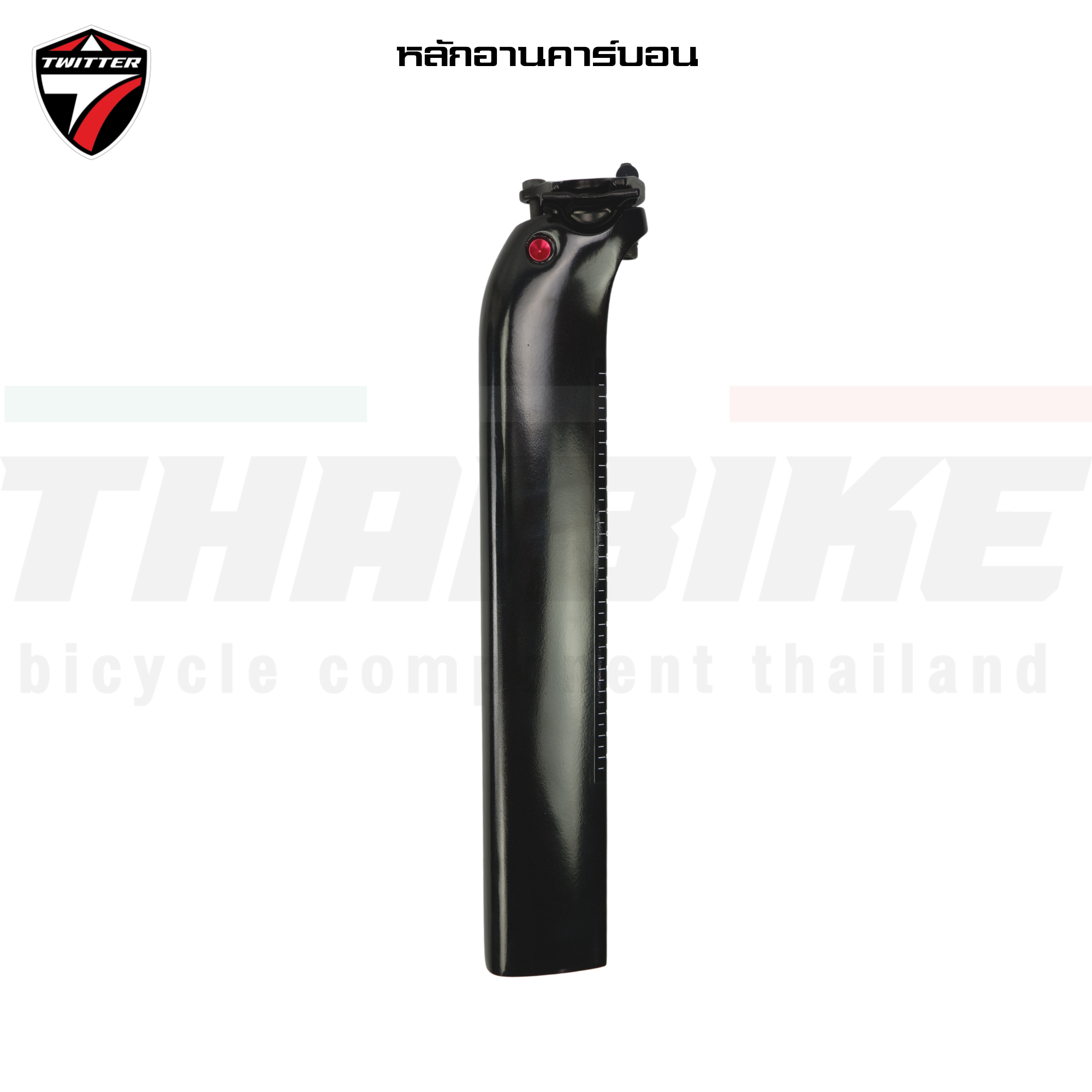 เฟรมจักรยานเสือหมอบคาร์บอนดิสก์เบรค T.WITTER R10 DB สีพิเศษ