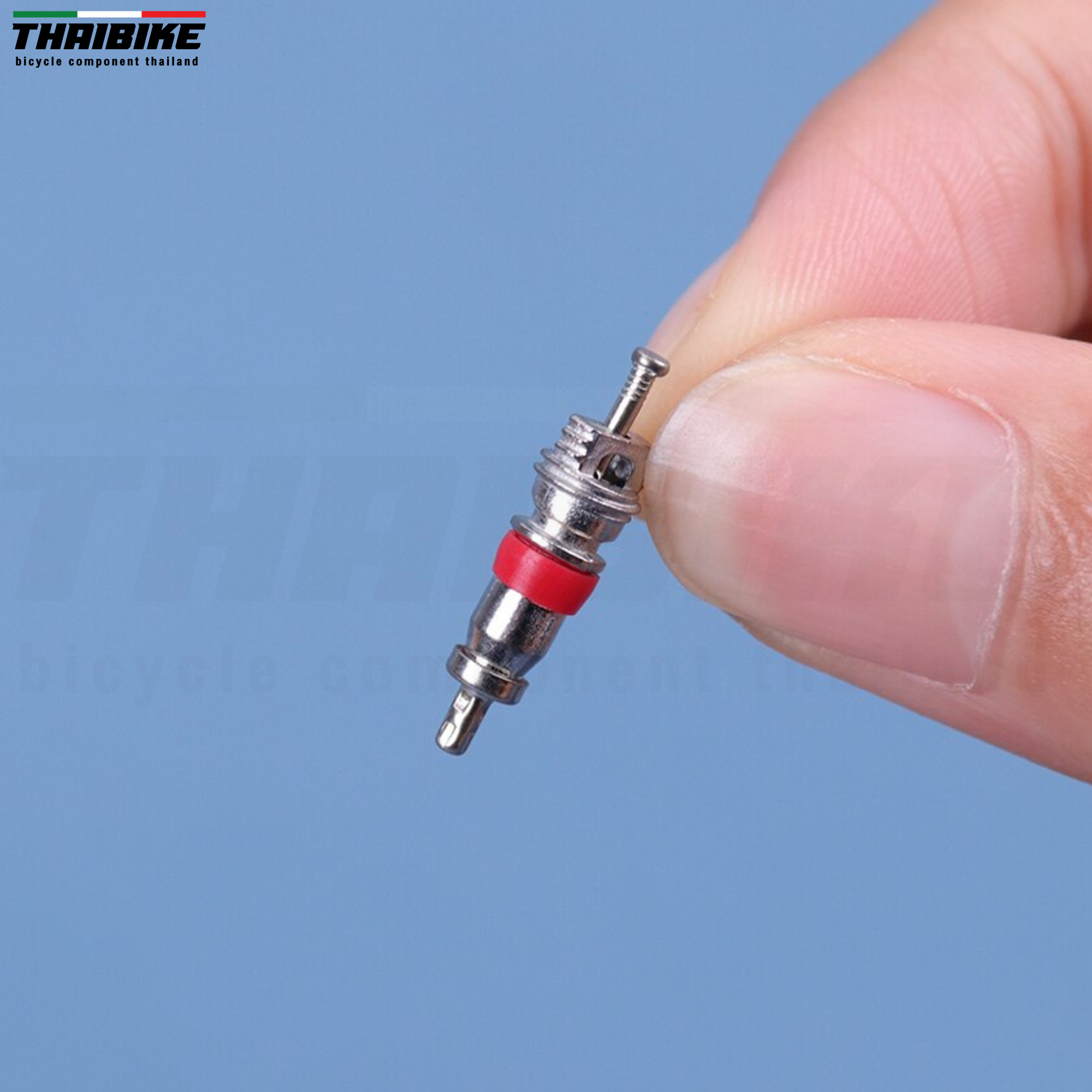 หัววาล์วจุ๊บใหญ่จักรยาน รถยนต์ มอเตอร์ไซต์ ศรจุ๊บลม ยางวาล์วแกนจุ๊บใหญ่ AV
