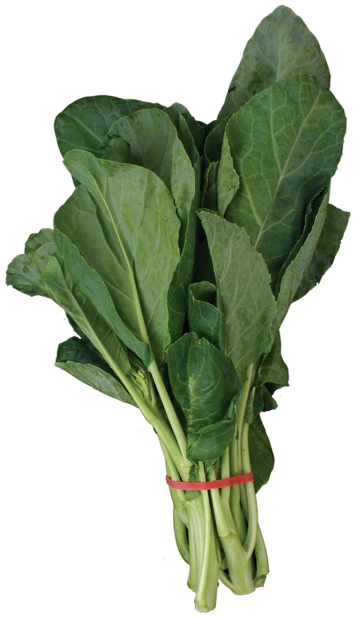 คะน้า Brassica alboglabra