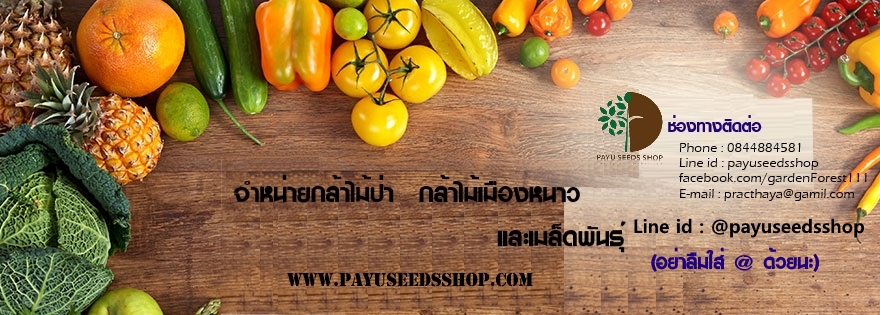 Practhaya Seeds shop