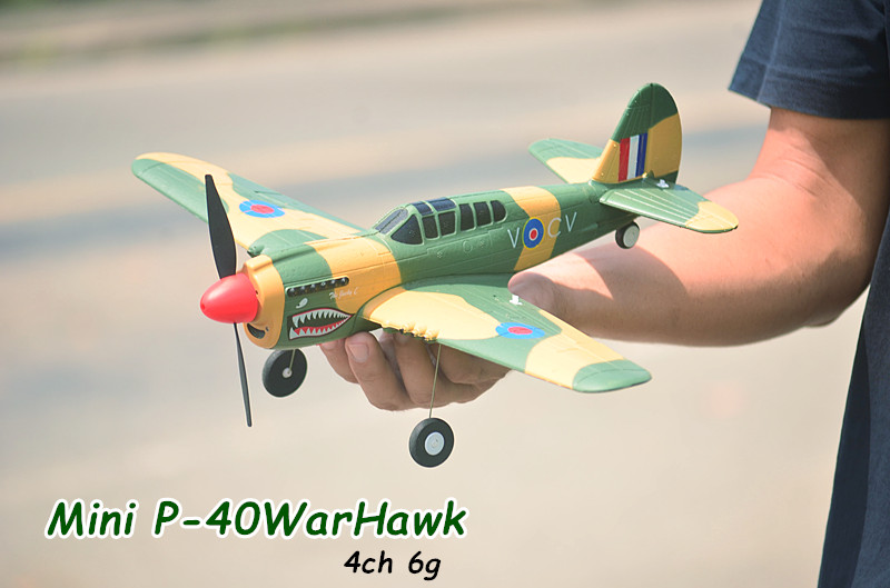 P-40 Warhawk Mini Rc 6G 4Ch