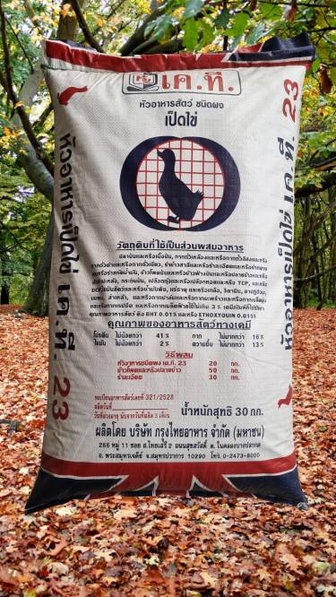 หัวอาหารเป็ดไข่ เค.ที. 23เอ - เพิ่มผลผลิตไข่คุณภาพเยี่ยม KT23A DUCK FEED, 41% โปรตีน