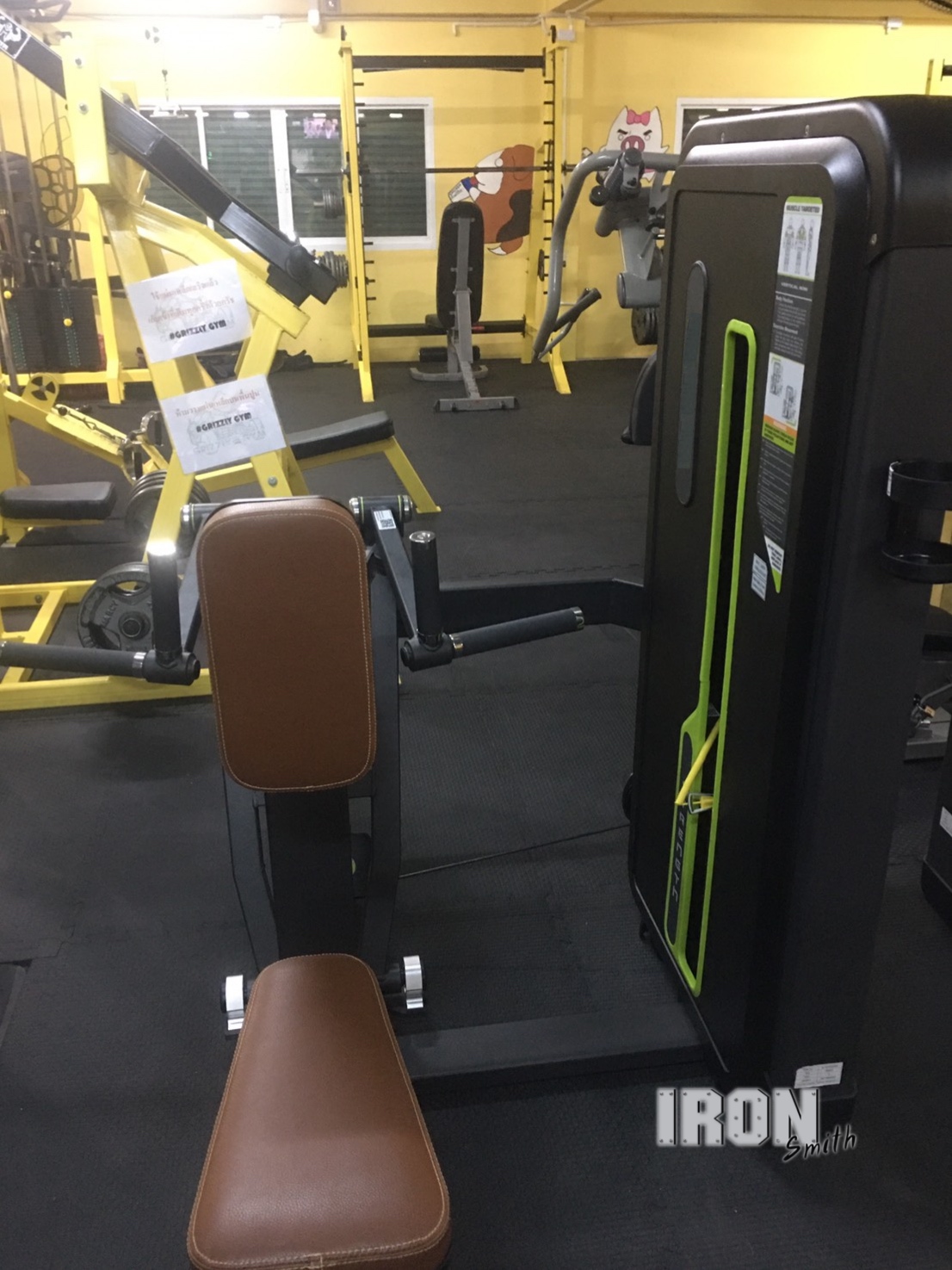 Gym : Grizzly Gym บางแวก