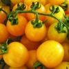 Cherry Yellow Tomato มะเขือเทศเชอร์รี่สีเหลือง 20 เมล็ด