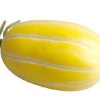 แตงไทยสีทอง Musk melon