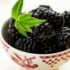Blackberry Seeds ชุดใหญ่ 100 เมล็ด