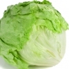 ผักสลัดแก้ว/ผักกาดแก้ว Head Lettuce, Iceberg Crisp, Lettuce