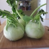 Kohlrabi ขาว DELIKATESS WITTE