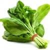 ปวยเล้ง Spinach