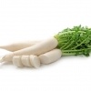 หัวไชเท้า/ผักไควาเระ Daikon