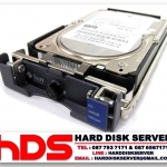 SUN 146GB 10K FC-AL FIBRE CHANNEL 3.5INC HOT-SWAP W/TRAY HDD