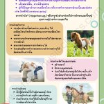 ตอนที่ 284 อาชาบำบัด Hippotherapy