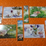 โปส+ที่คั่น ชุด วิวาห์ไร้รัก