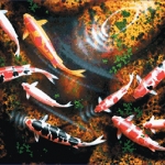 ปลาคาร์ฟ