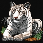 เสือขาว I