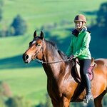 ตอนที่ 431 อาชาบำบัด (Hippotherapy )