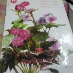 ทัณฑ์รักเงาลวง /ม่านนที