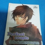 Perfect Couple ติวรักสะกิดหัวใจนายจอมกวน /Fayya