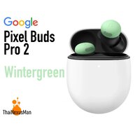 Wintergreen on Stock