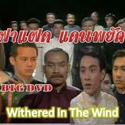 ฝาแฝด แดนพยัคฆ์ withered in the wind นำแสดงโดย จางเหว่ยเจี้ยน,จางเจ้าฮุย,หลินจุ้ยเสียน,หลีเหม่ยเสียน, 6 แผ่น ภาพชัด 99%