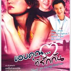 ขอบคุณที่รักกัน นำแสดงโดย (จ้าวเหว่ย) 4 แผ่นจบ