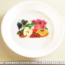 ถาดพลาสติกก้นลึก (กลม) 35x4.5 ซม.