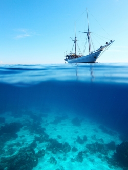 วอลเปเปอร์ ภาพใต้ท้องทะเล