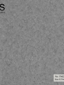 วอลเปเปอร์สีพื้นสีเงินเทา เนื้อหนา No.TM2-B11