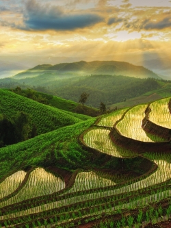 วอลเปเปอร์ ภาพวิวเมือง SS0215