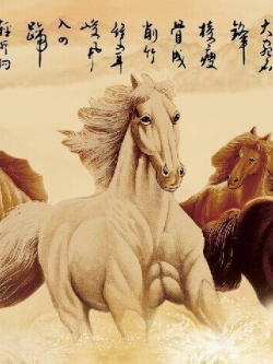 วอลเปเปอร์ เสริมฮวงจุ้ย ภาพรูปม้า 008