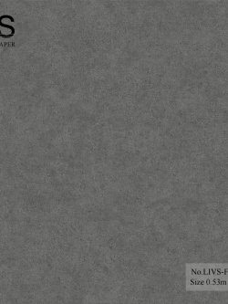 วอลเปเปอร์ ลายปูนเปลือยสีเทา No.LIVS-F09
