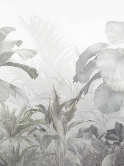 วอลเปเปอร์ภาพป่าเขตร้อน Tropical (สั่งผลิต)