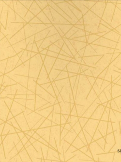 วอลเปเปอร์สีส้ม MER-M6