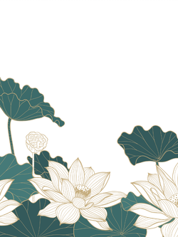 วอลเปเปอร์ภาพดอกบัว (สั่งผลิต)