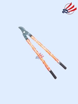 ตัดกิ่งแป๊บสี